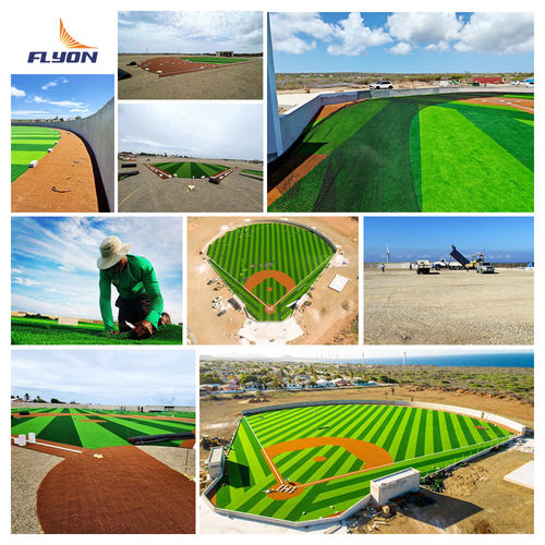 Latest company Solutions about 2023 Curaçao Baseball Field Kunstgras Project