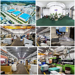 China Shenzhen Flyon Sports  Co., Ltd. Bedrijfprofiel