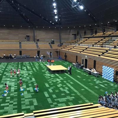 Goede prijs 45mm Hoogte Synthetisch Kunstmatig Gras voor de Sporthof van de Voetbalvoetbal SGS Certificaat online