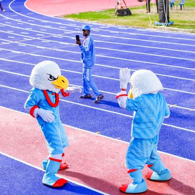 Goede prijs Niet Giftige Sandwichrenbaan, Atletisch Rasspoor met IAAF-Certificatie online