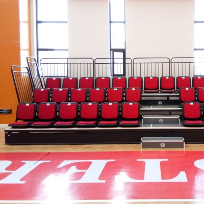 Goede prijs Het anti Verouderen Vuurvaste Intrekbare Bleacher Plaatsing voor Stadiontribune online
