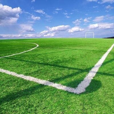 Goede prijs Synthetische Kunstmatige het Gras Anti UV van het voetbalgebied voor het Modelleren van Decoratieoem ODM online