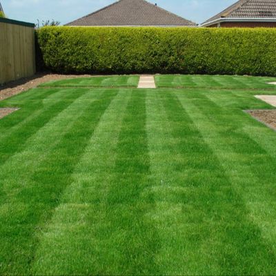 Met elkaar verbindend Gras Synthetisch Kunstmatig Gras 35mm Stapel voor Hotelyard
