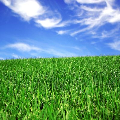 Goede prijs 50mm het Modelleren Synthetisch Kunstmatig Gras voor Voetbalhof online