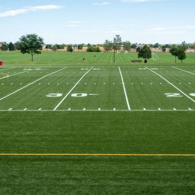 Goede prijs 25m × 4m per het Kunstmatige Gras van de Broodjesvoetbal, het Donkergroene Synthetische Gras van het Voetbalgebied online