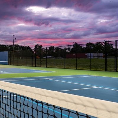 Het Hof Mat Portable 60 X 30ft van Ondoorpickleball Broodje Mat Free Line Painting Service