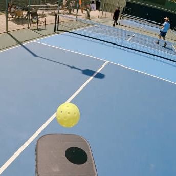 Goede prijs Sporten die het Hof van Leverancierspickelball het Hoogtepunt van het Bevloeringsbroodje vloeren - het Hof van groottepickleball Broodje online