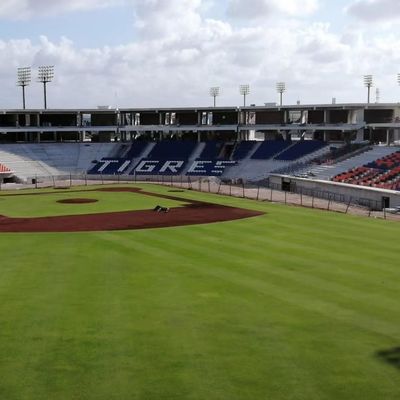 Goede prijs HDPE-materiaal Stadion sportstoelen 5 jaar - W 430 mm * D 600 mm * H 835 mm online