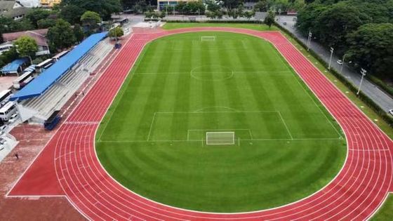 Goede prijs Sportbaan van rubber met weinig onderhoud voor fitnesscentra online