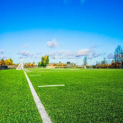 Goede prijs 40-60 mm groen kunstgras 22000 dichtheid PP NET online
