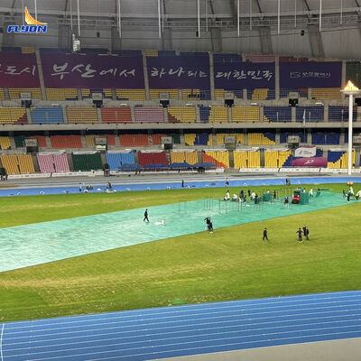 Goede prijs Gewicht 8 kg / tegel 6 jaar garantie Hoog inslagvermogen Draagbare gebeurtenis vloer voor grasbescherming online